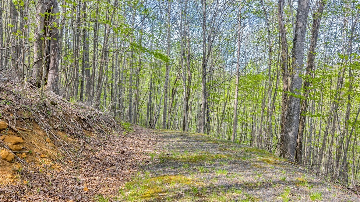 TBD Bluff Canyon Drive