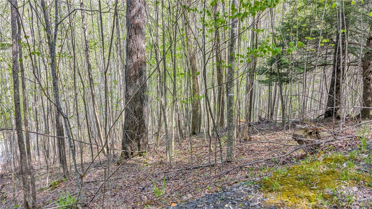 TBD Bluff Canyon Drive