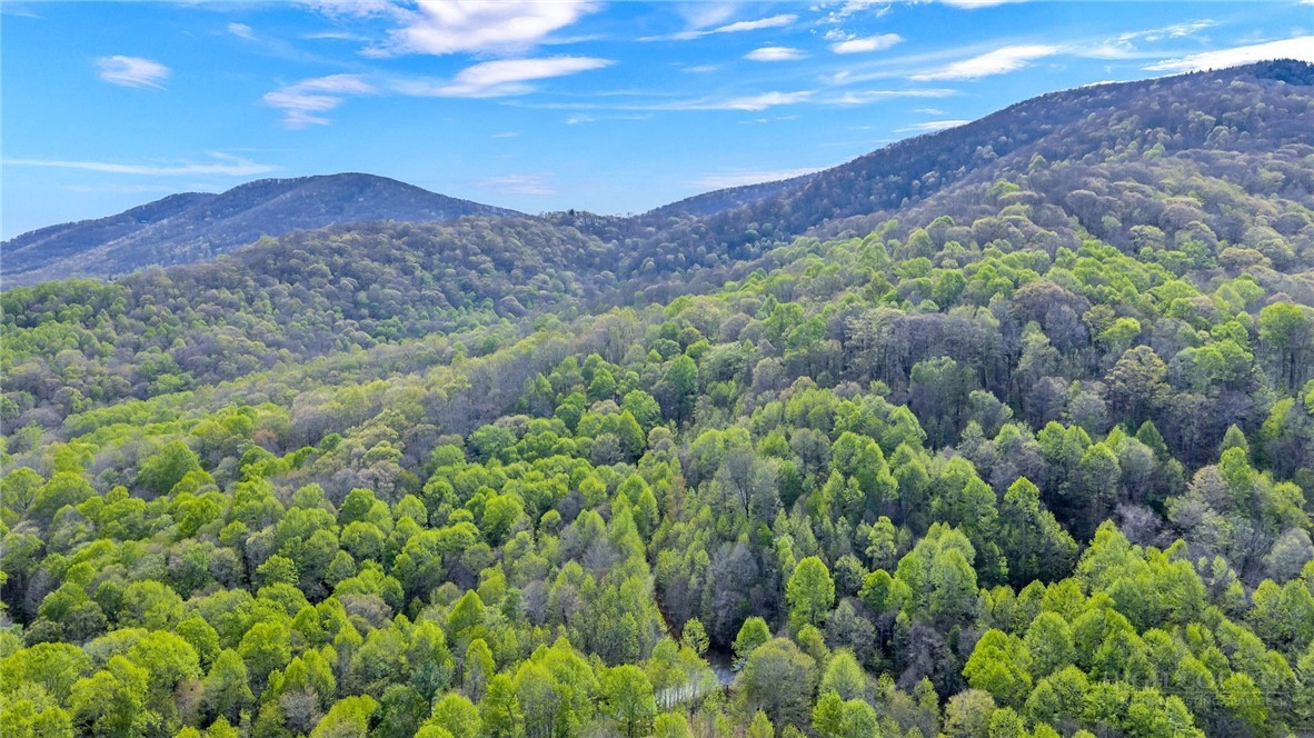 TBD Bluff Canyon Drive