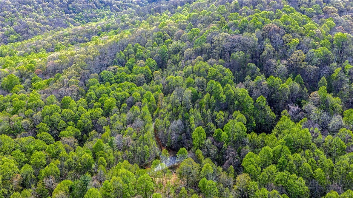 TBD Bluff Canyon Drive