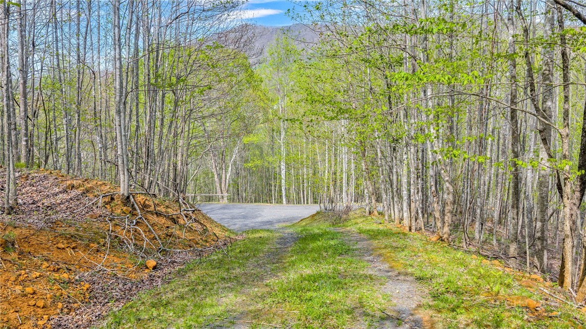 TBD Bluff Canyon Drive