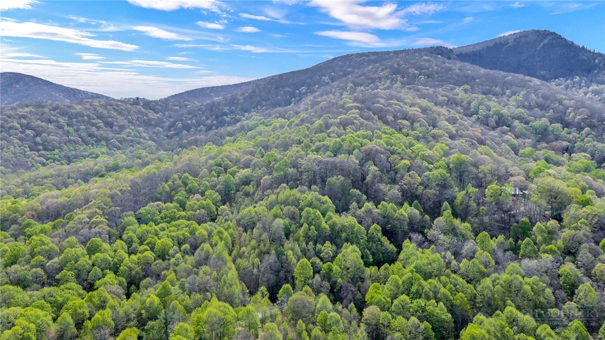 TBD Bluff Canyon Drive