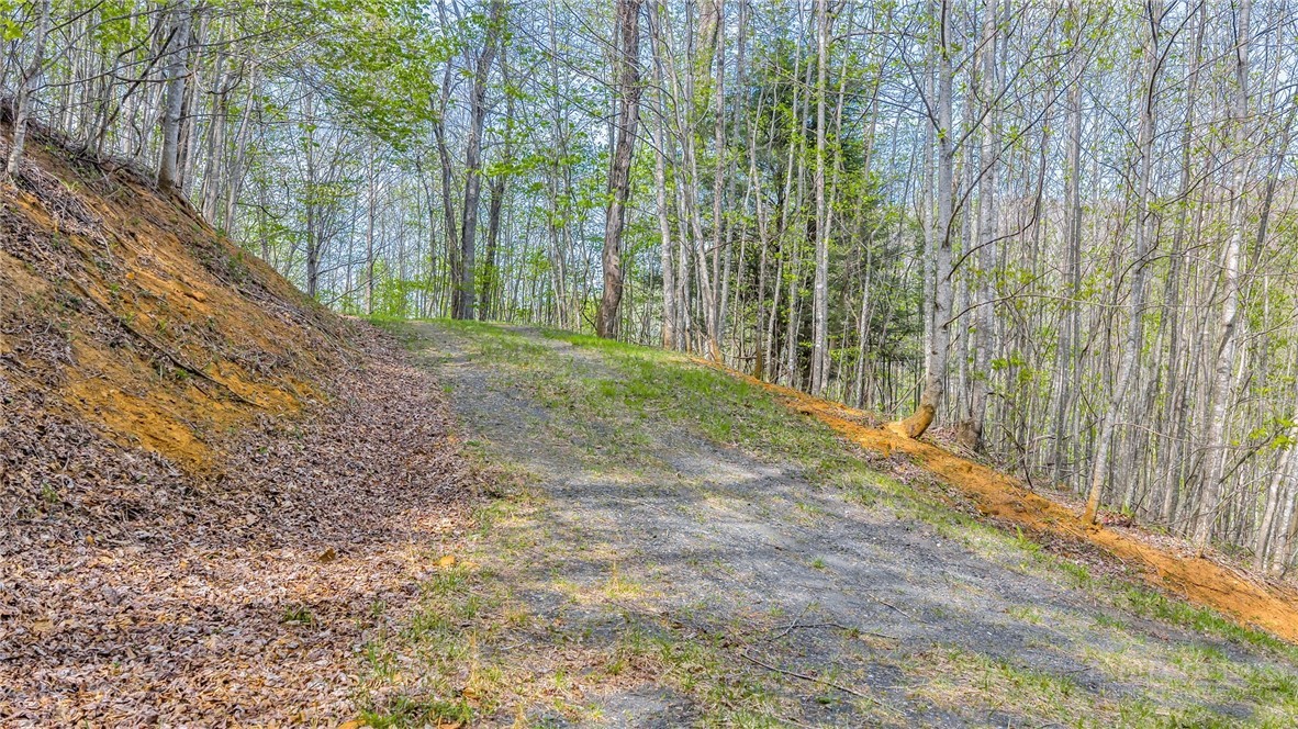 TBD Bluff Canyon Drive