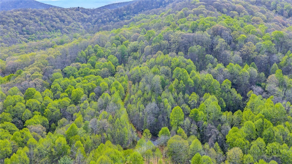 TBD Bluff Canyon Drive