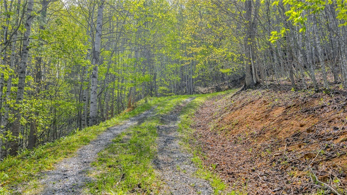 TBD Bluff Canyon Drive