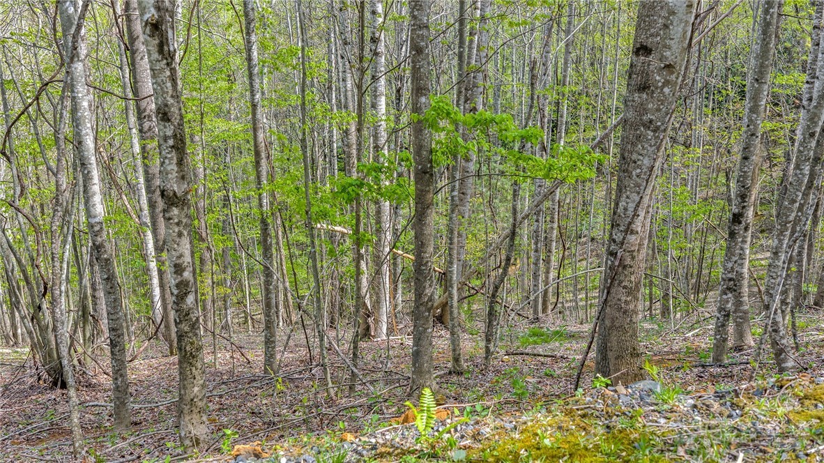 TBD Bluff Canyon Drive