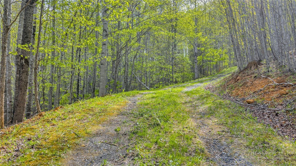 TBD Bluff Canyon Drive