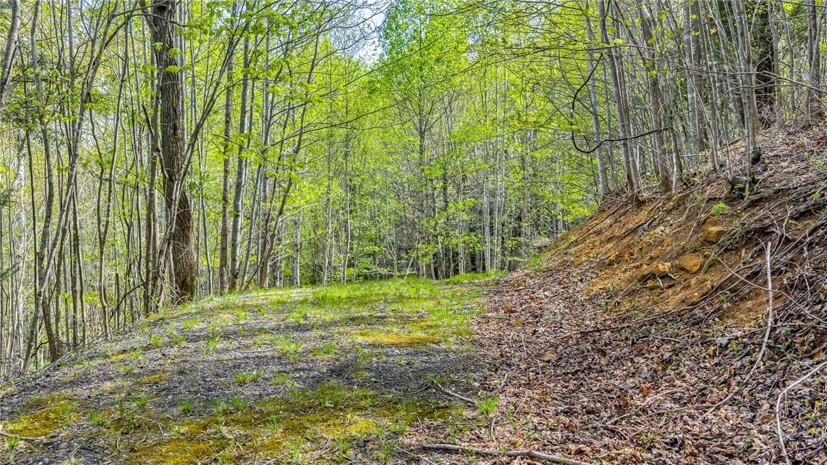 TBD Bluff Canyon Drive