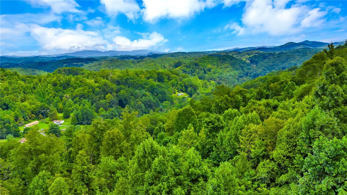 TBD McKinley Ridge Road