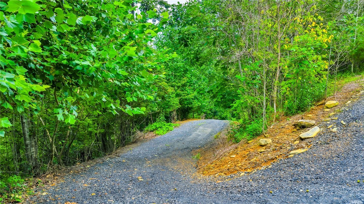 TBD McKinley Ridge Road