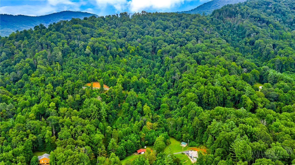 TBD McKinley Ridge Road