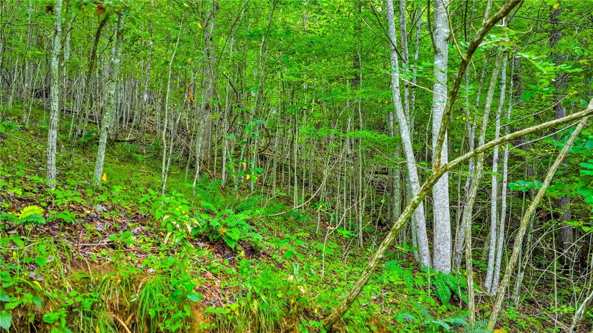 TBD McKinley Ridge Road