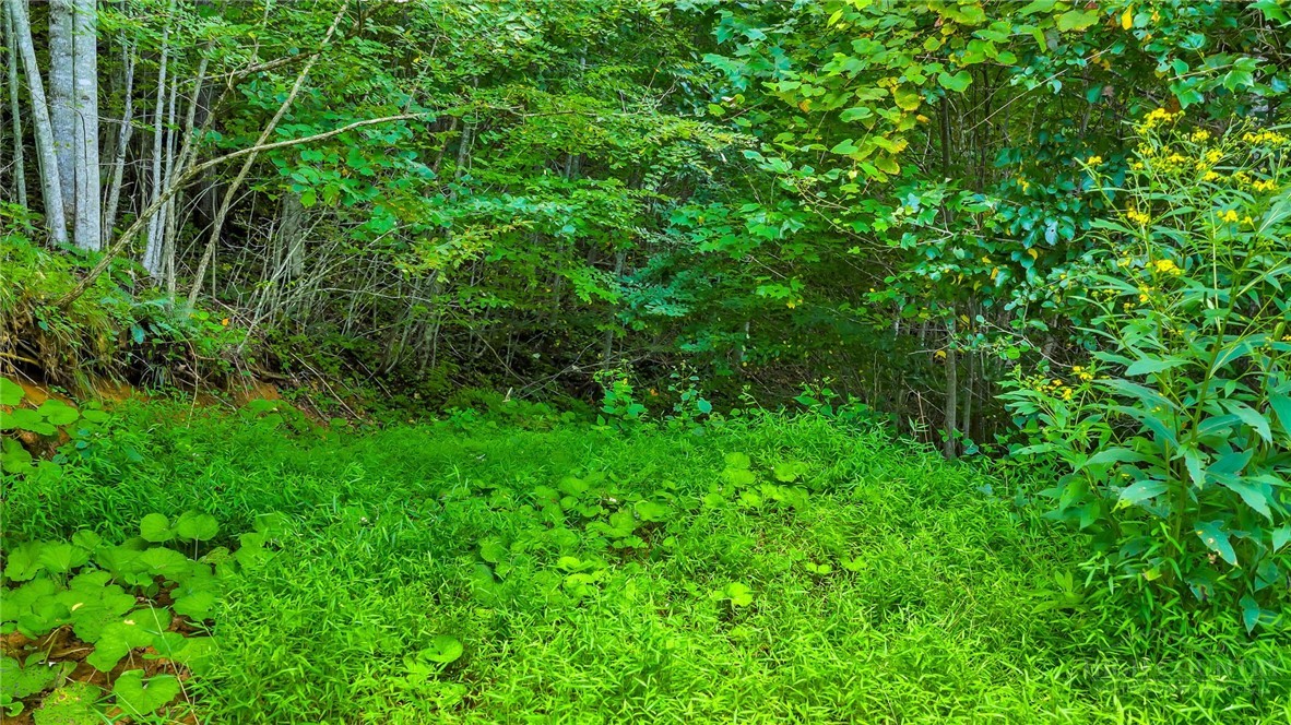 TBD McKinley Ridge Road