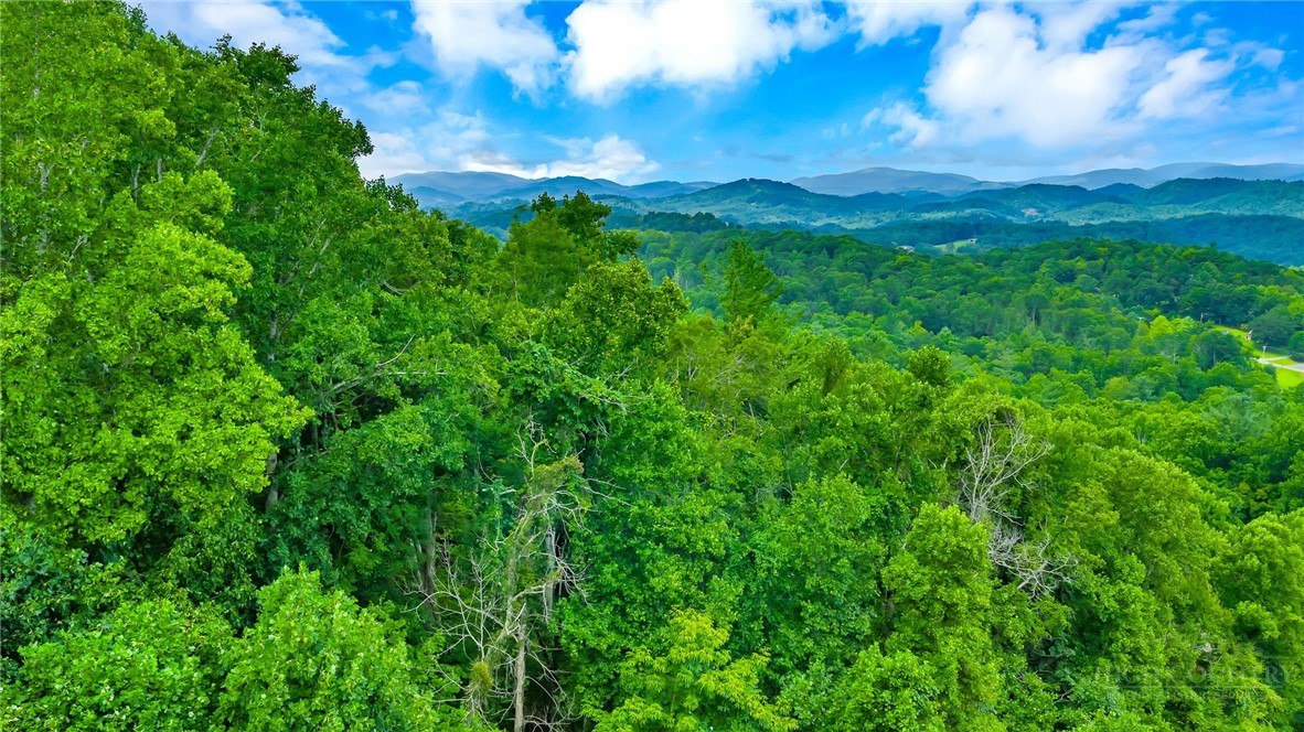 TBD McKinley Ridge Road