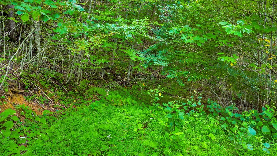 TBD McKinley Ridge Road