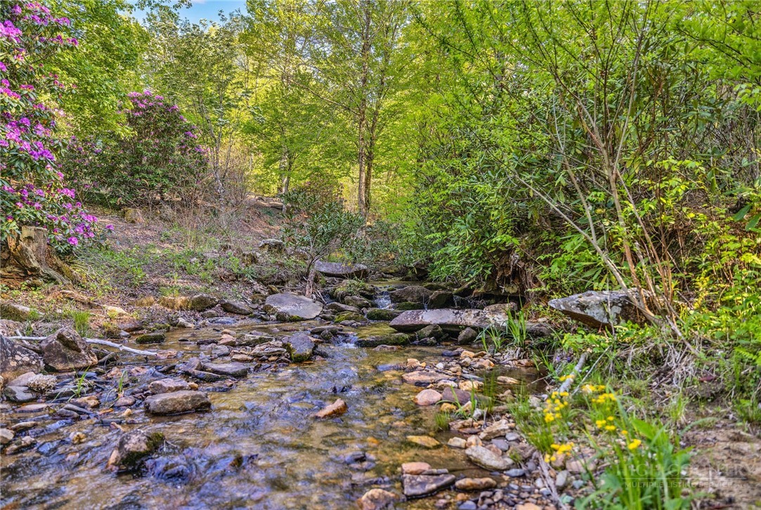 164 Deelani Trail