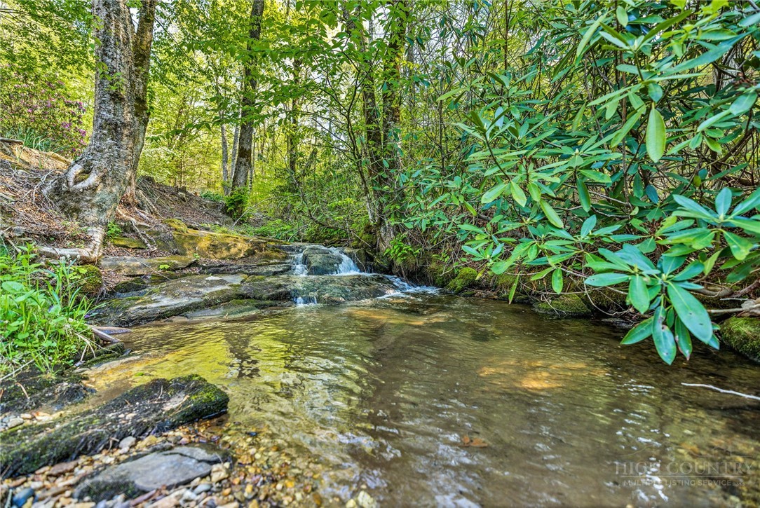 164 Deelani Trail