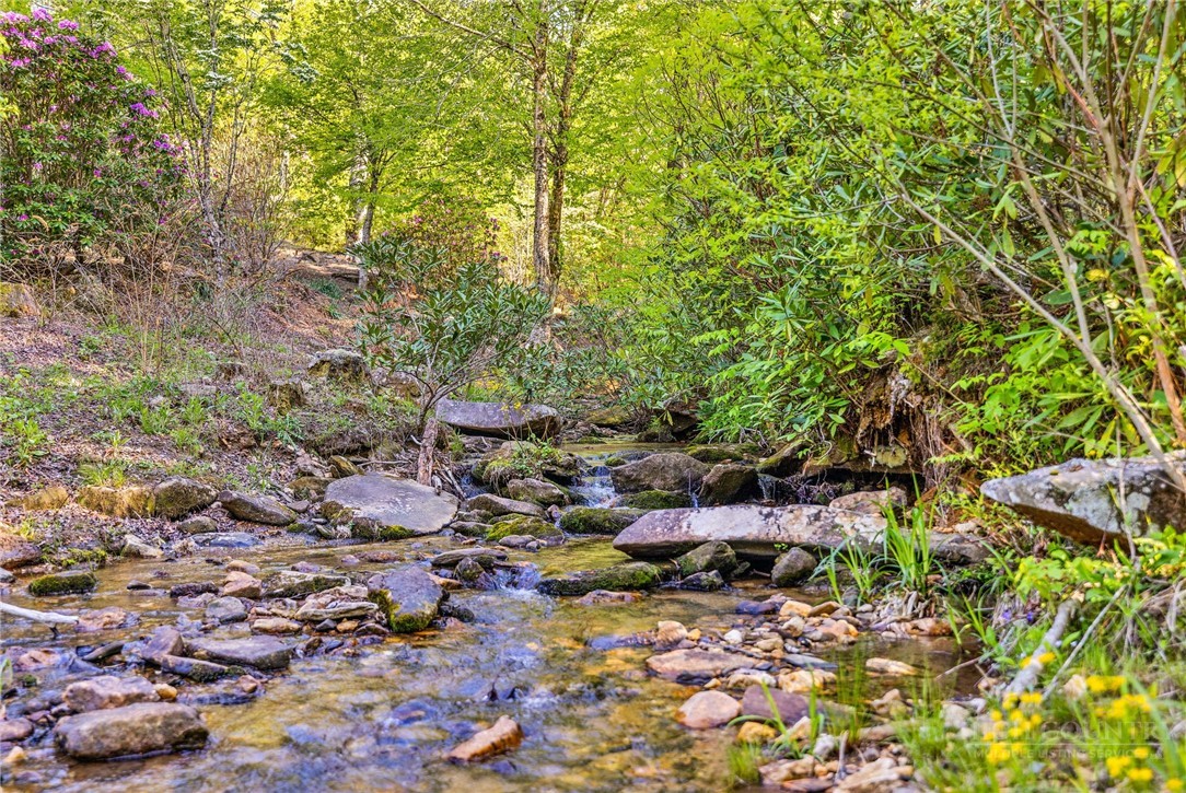 164 Deelani Trail