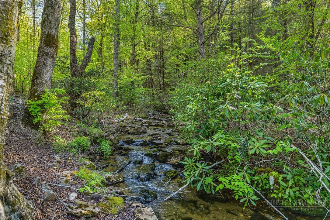 164 Deelani Trail