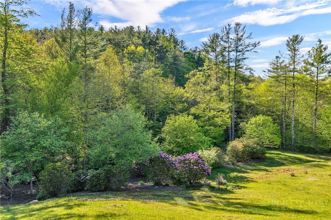 164 Deelani Trail
