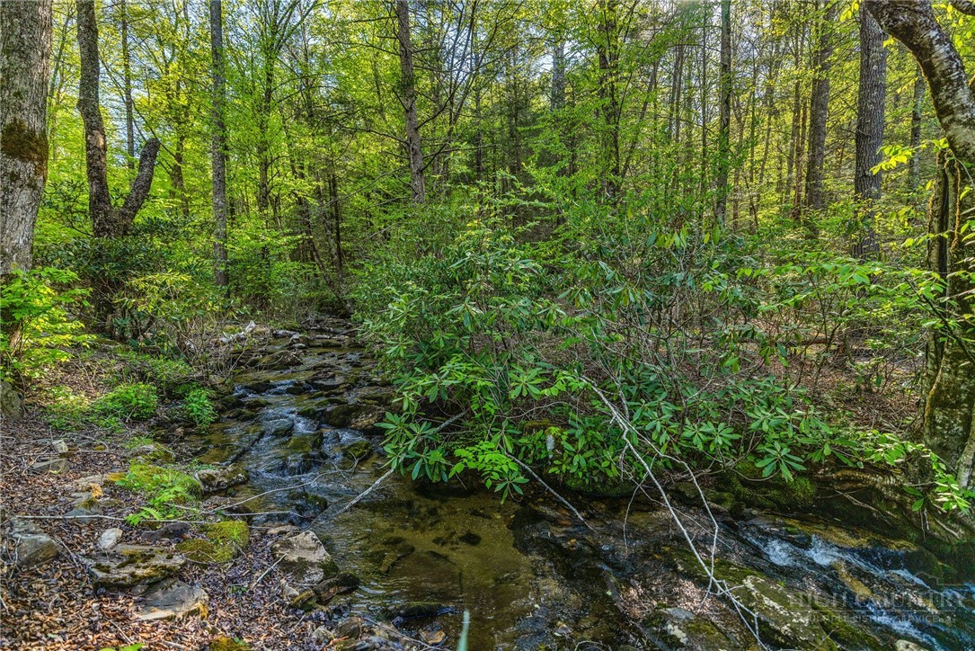 164 Deelani Trail
