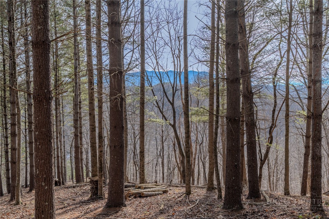 8 and 9 Haven Ridge Road