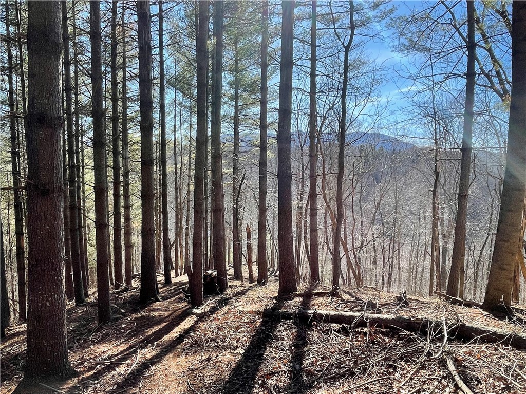 8 and 9 Haven Ridge Road