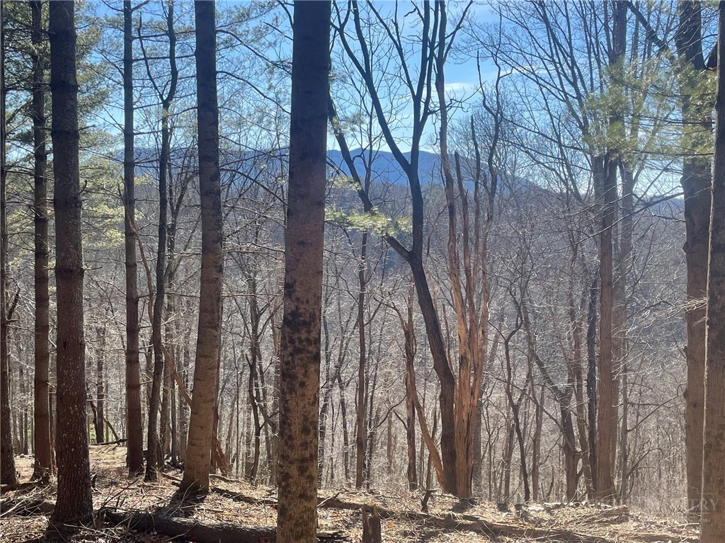 8 and 9 Haven Ridge Road