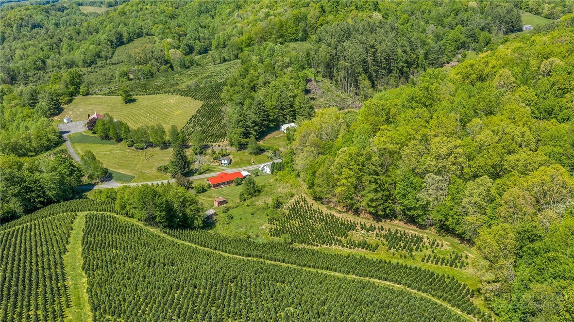 346 Piney Creek Road