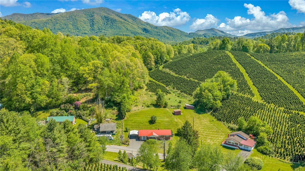 346 Piney Creek Road