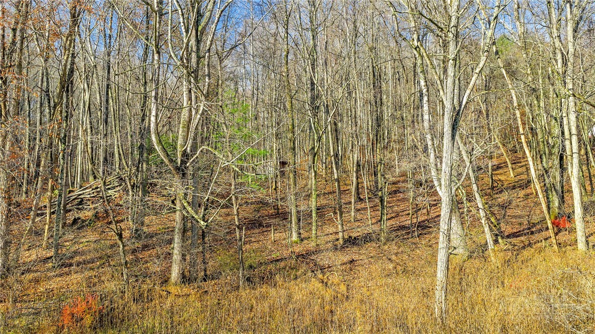 1451 Elliott Road