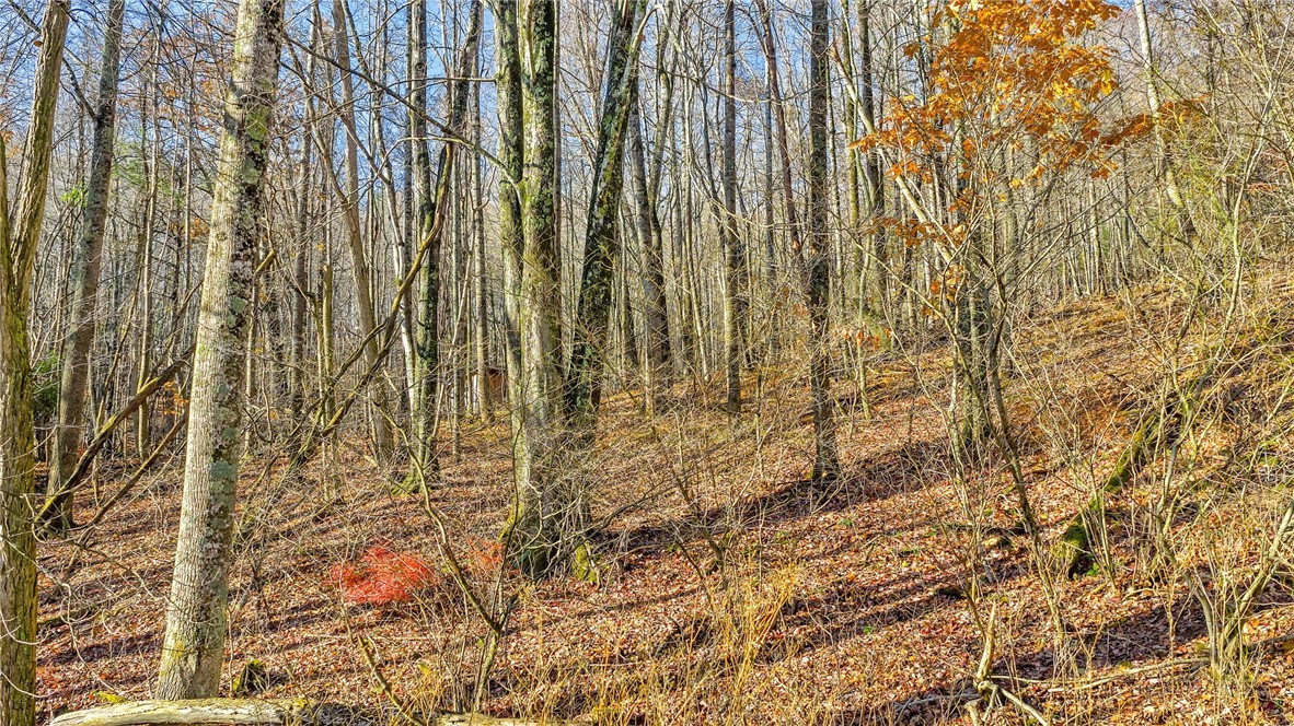 1451 Elliott Road