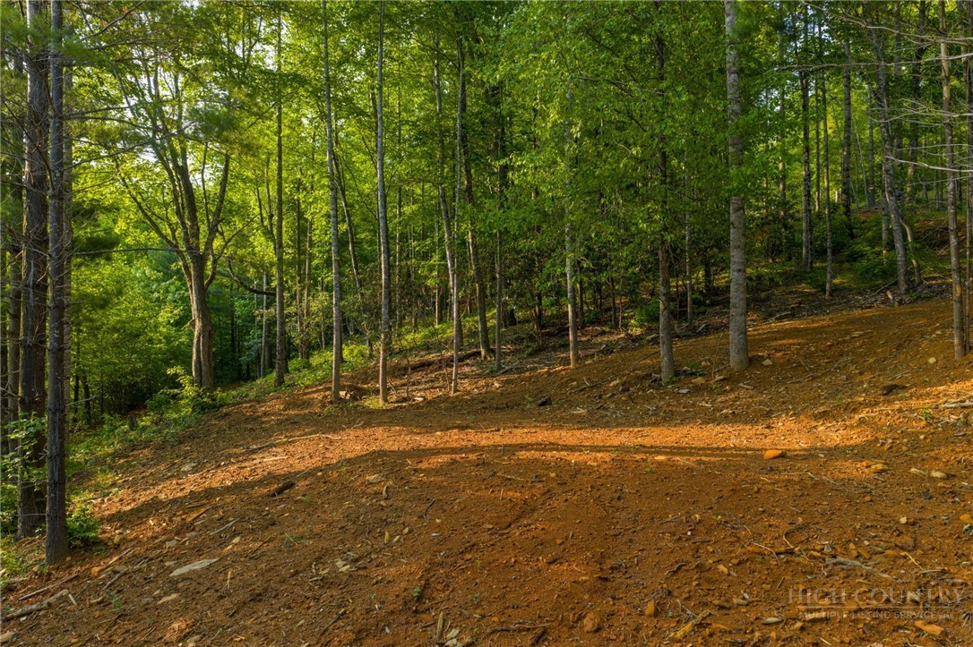 213 Autumn Lane