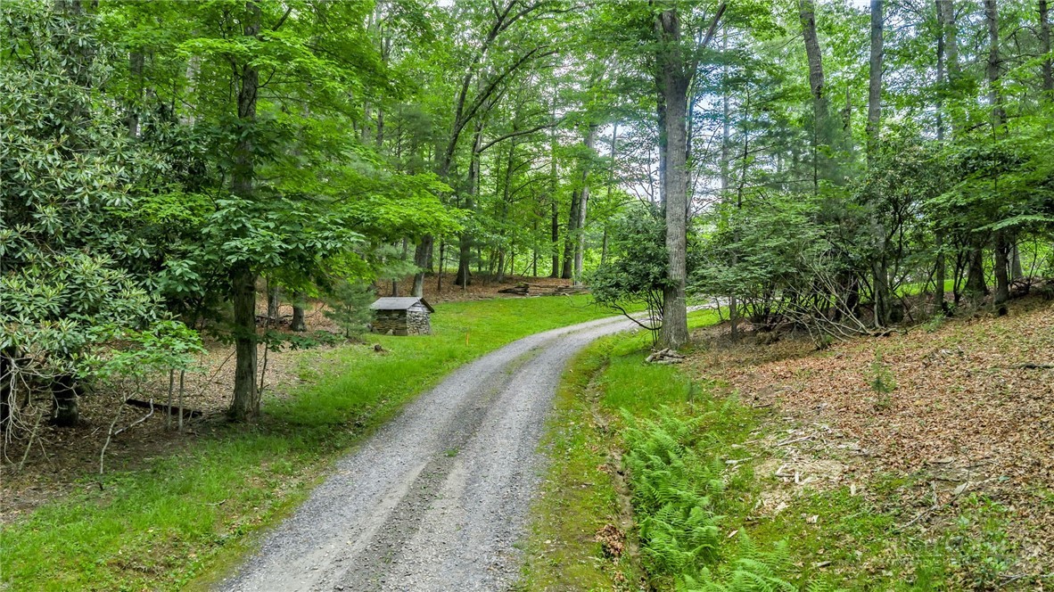 1142 Hartzog Ford Road