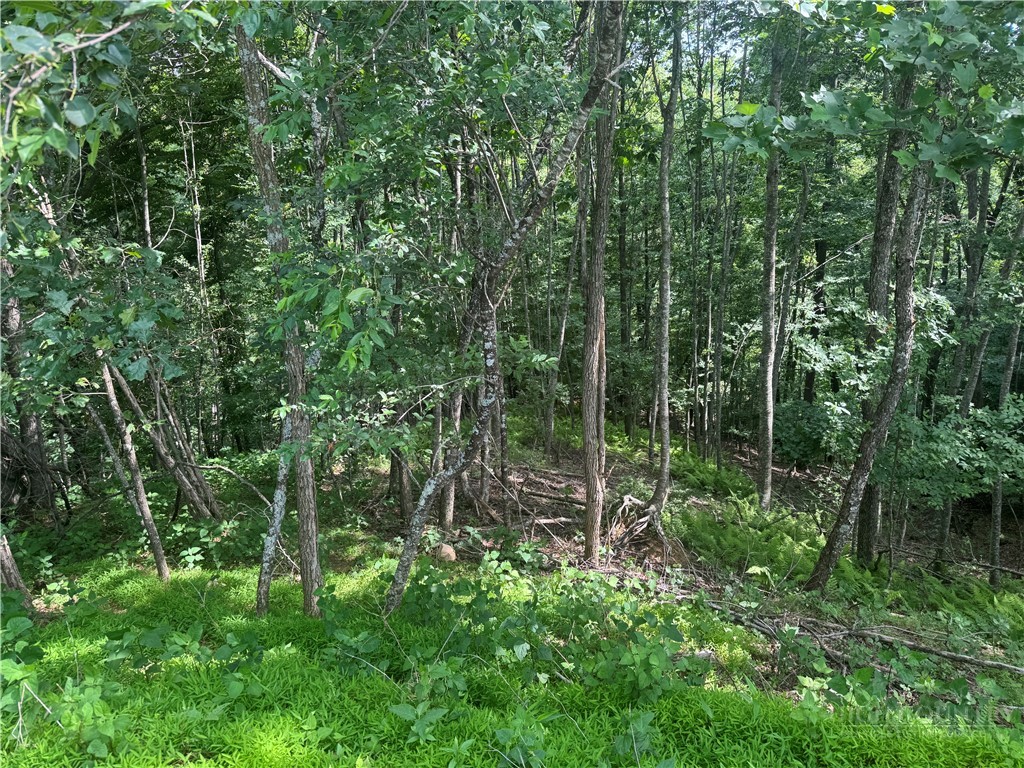 TBD Woodview Drive