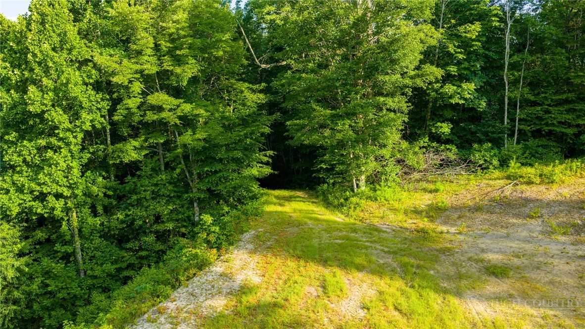 TBD 3 Big Laurel Road