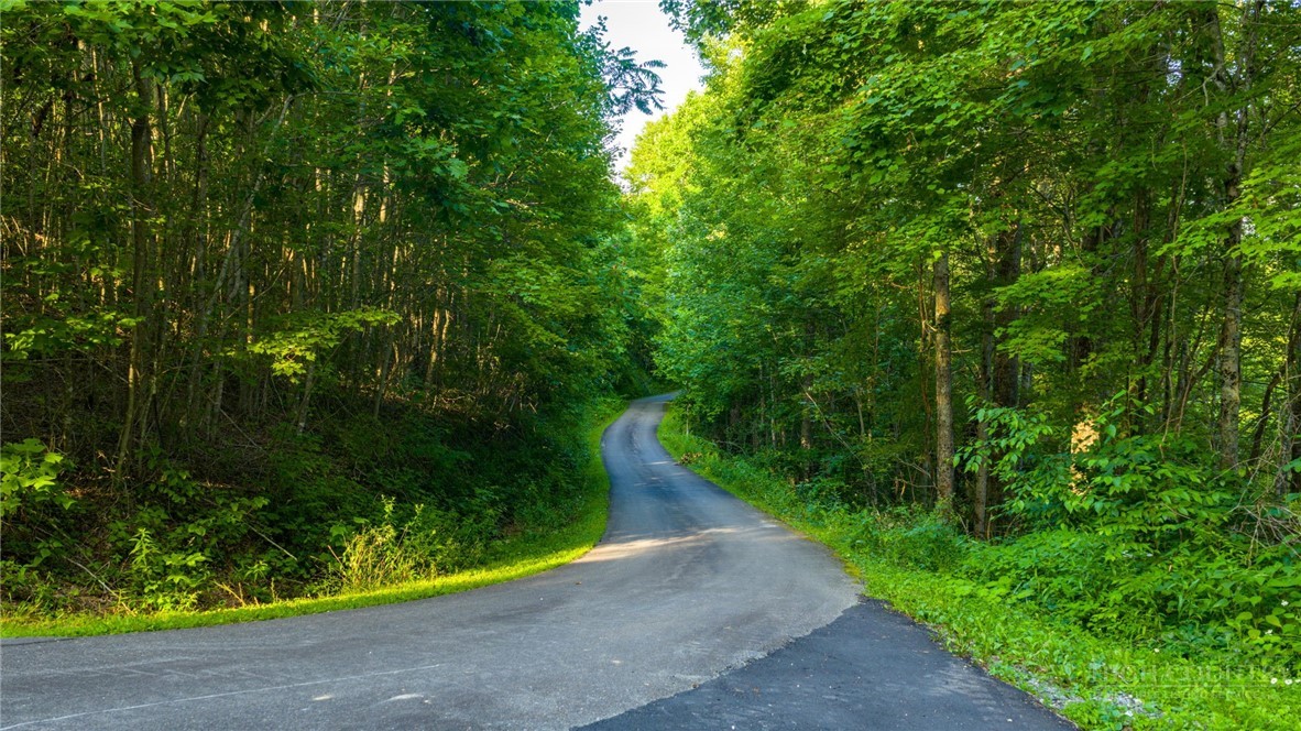 TBD-7 Big Laurel Road