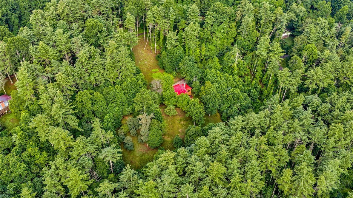 219 Ravenwood Drive