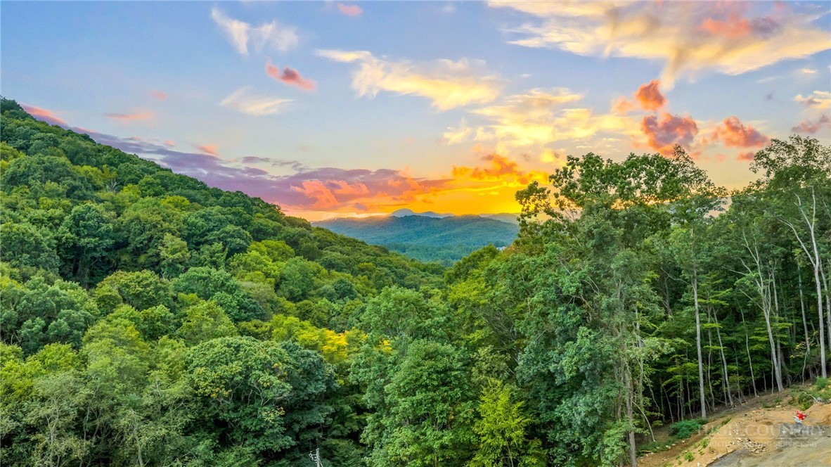 182 Skyland Trail