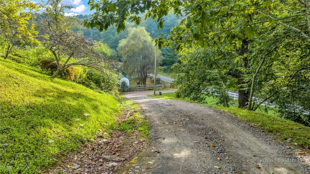 3115 Roaring Fork