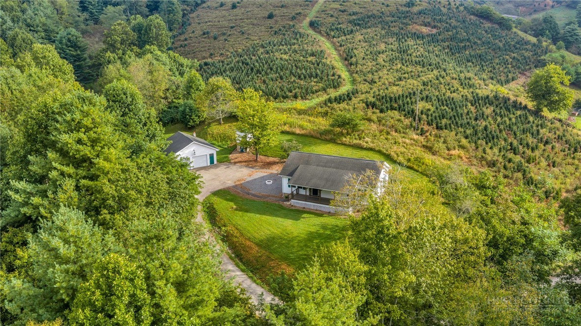 3115 Roaring Fork