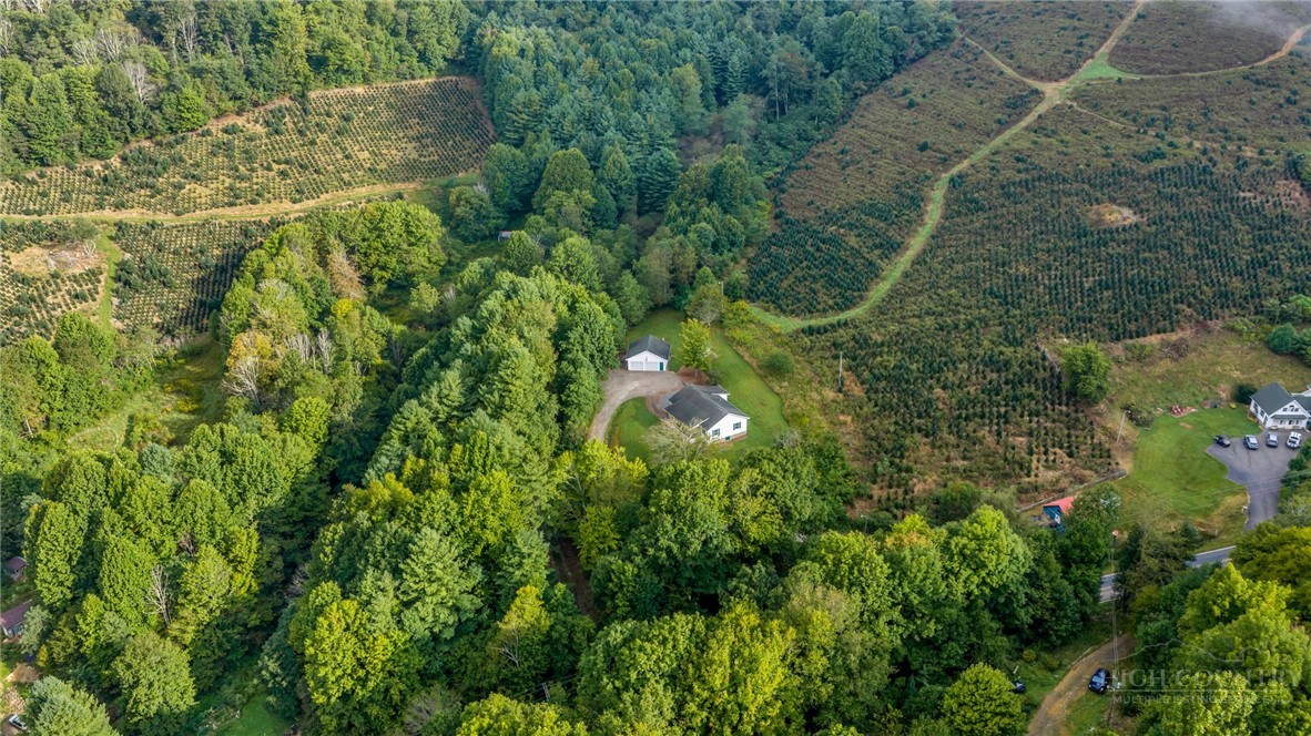 3115 Roaring Fork