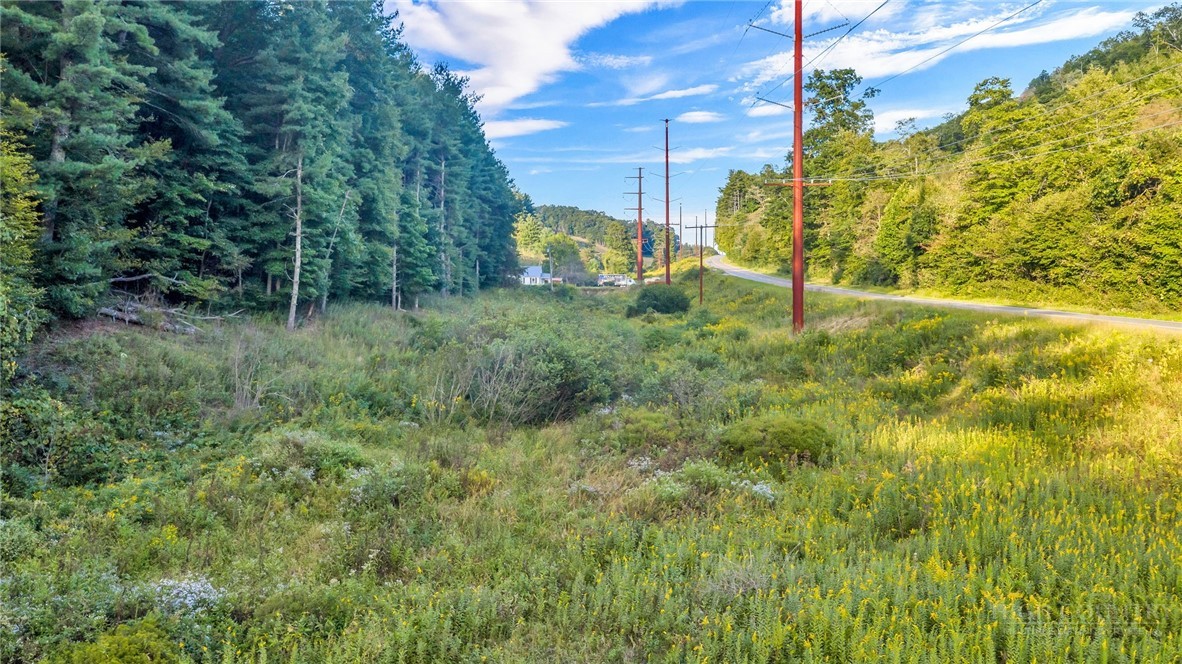 TBD Idlewild Road