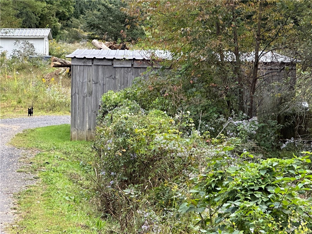2832 Roaring Fork Road