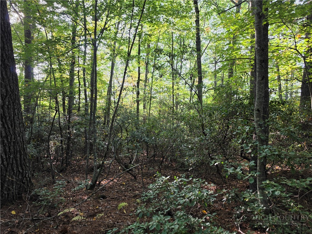 TBD Off Windy Acres Ridge Road