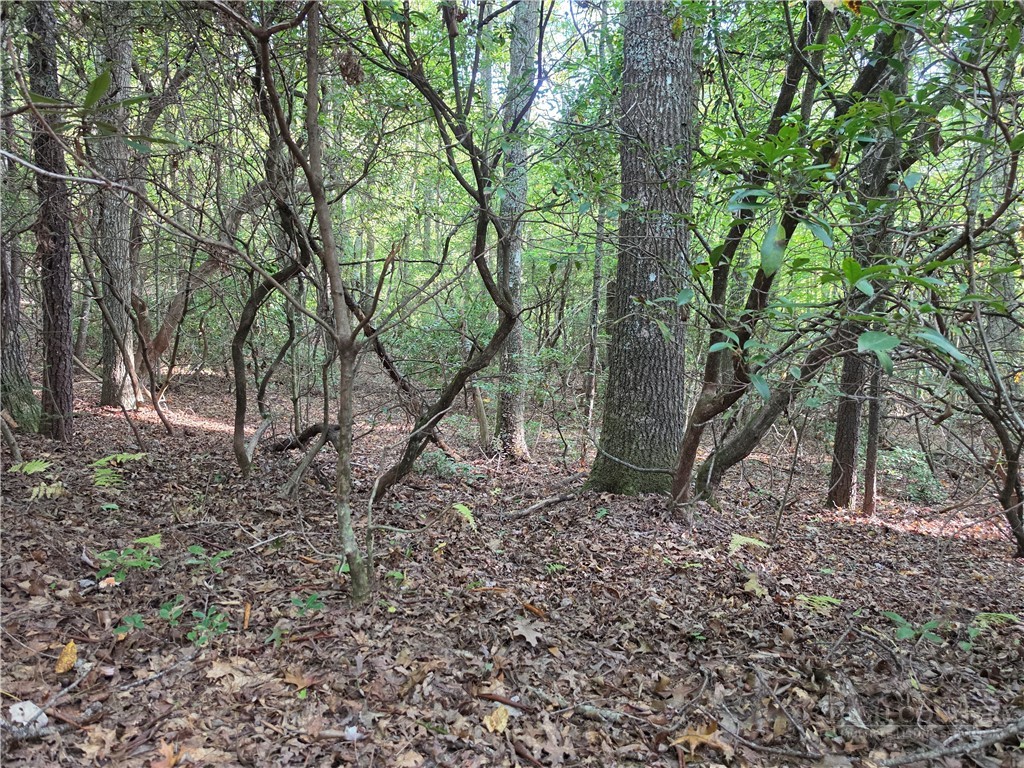 TBD Off Windy Acres Ridge Road