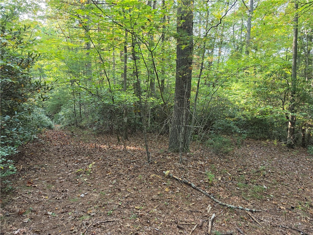 TBD Off Windy Acres Ridge Road