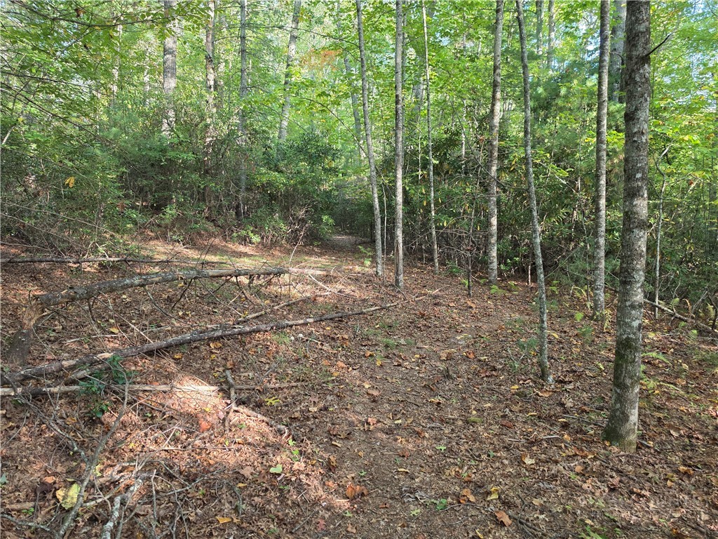 TBD Off Windy Acres Ridge Road