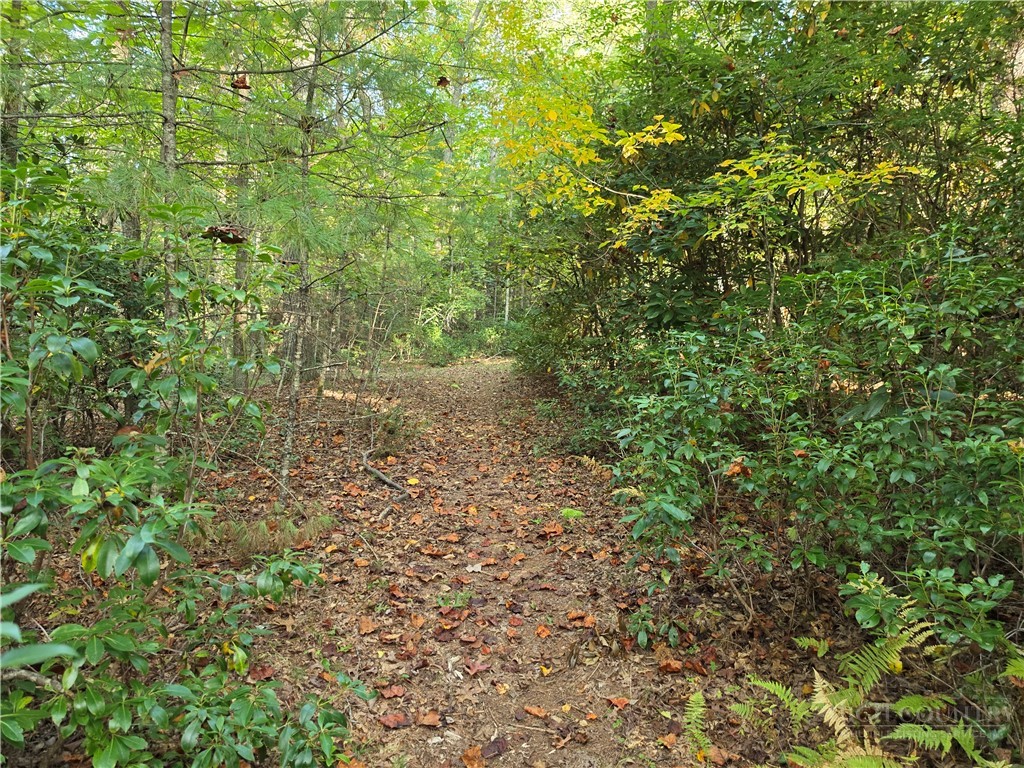 TBD Off Windy Acres Ridge Road