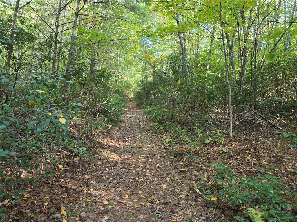 TBD Off Windy Acres Ridge Road